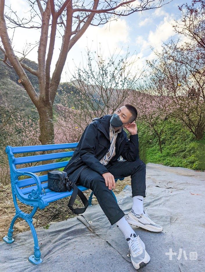 【三峽旅遊】大熊櫻花林｜二訪新北賞櫻私房景點、多種櫻花陸續綻放中！