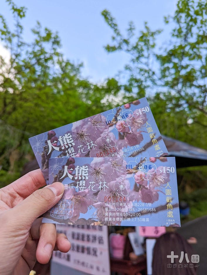 【三峽旅遊】大熊櫻花林｜二訪新北賞櫻私房景點、多種櫻花陸續綻放中！