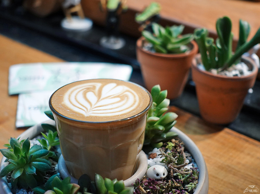 【Coffee Sind】有多肉作陪的迷你咖啡廳，好療癒～