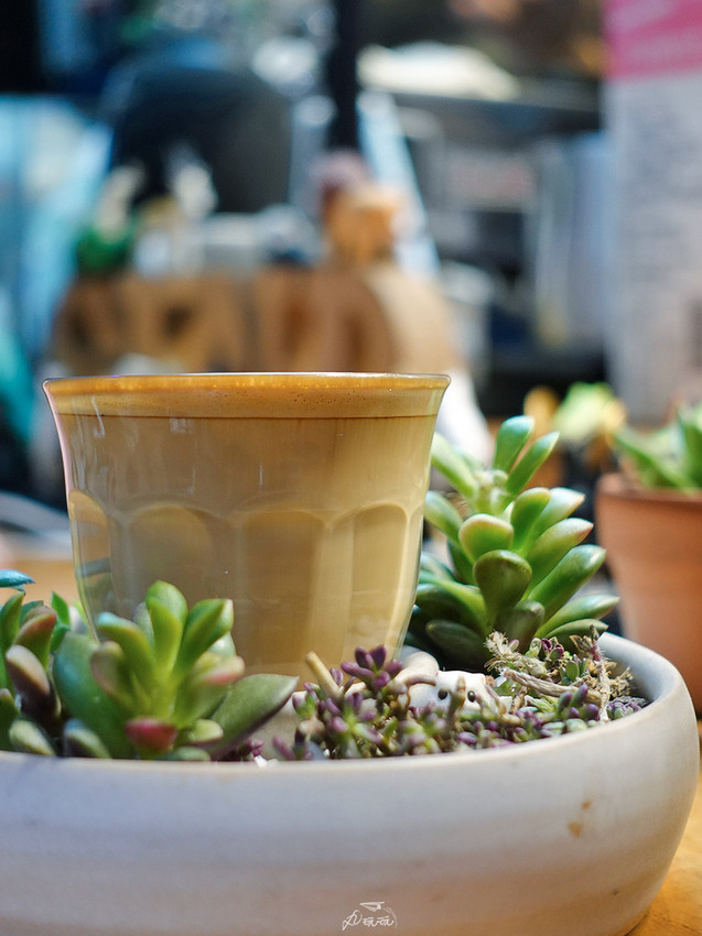 【Coffee Sind】有多肉作陪的迷你咖啡廳，好療癒～