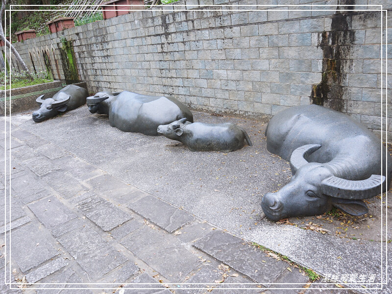 牛瀾河親水公園-新竹關西/東安古橋x優美河畔~散步踏青好所在