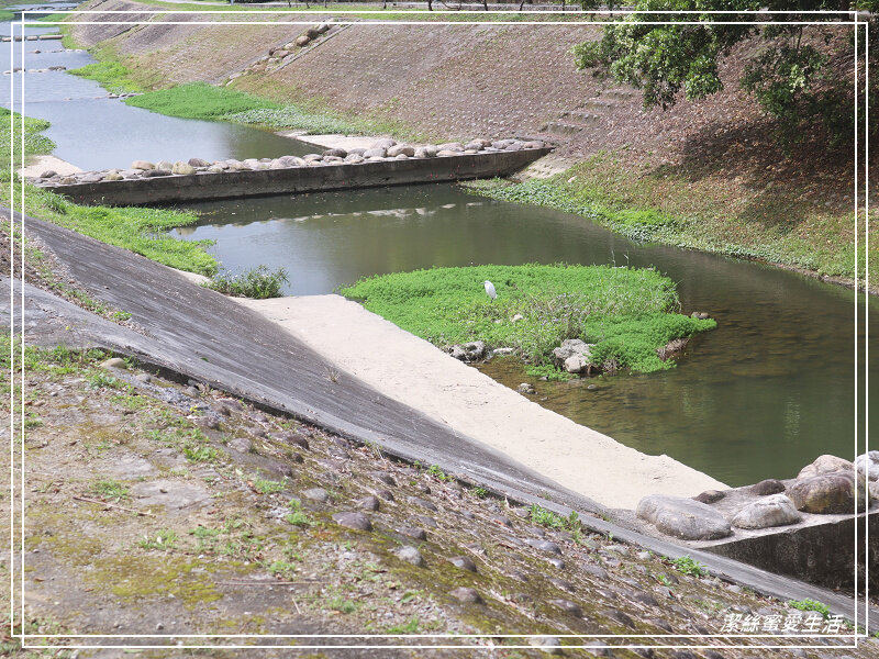 牛瀾河親水公園-新竹關西/東安古橋x優美河畔~散步踏青好所在