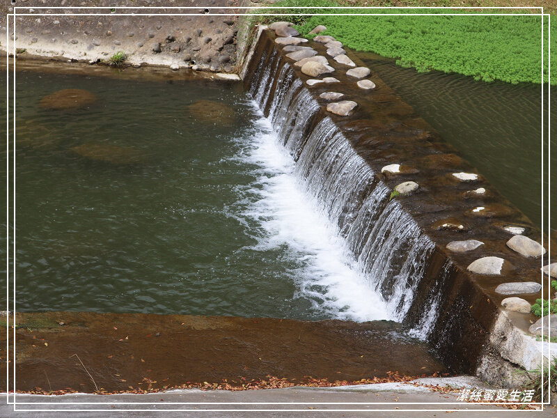 牛瀾河親水公園-新竹關西/東安古橋x優美河畔~散步踏青好所在