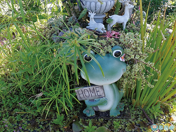 202203台北玫瑰園   32.png