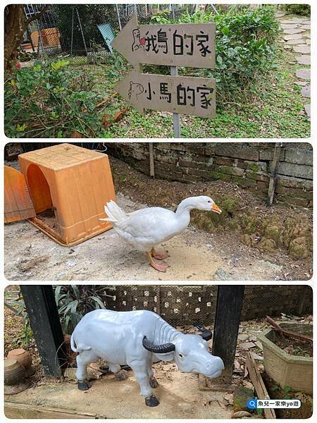 22-03-07-04-49-22-490_deco