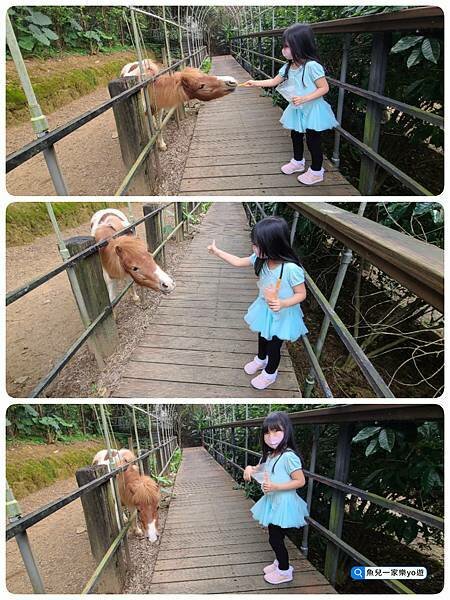 22-03-07-04-48-03-833_deco