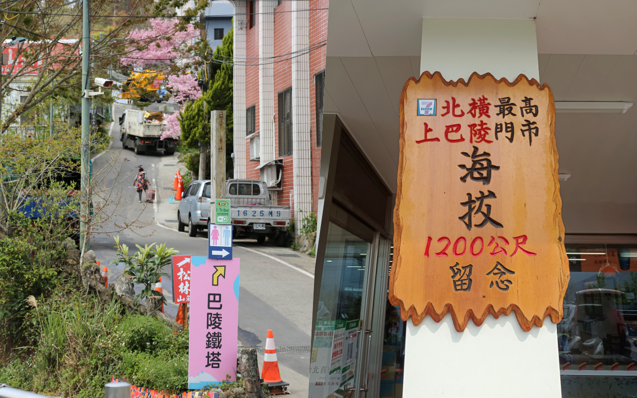在櫻花樹下野餐多麼浪漫，享受櫻花雨灑落在身上