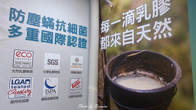 0124 乳膠床墊15.jpg