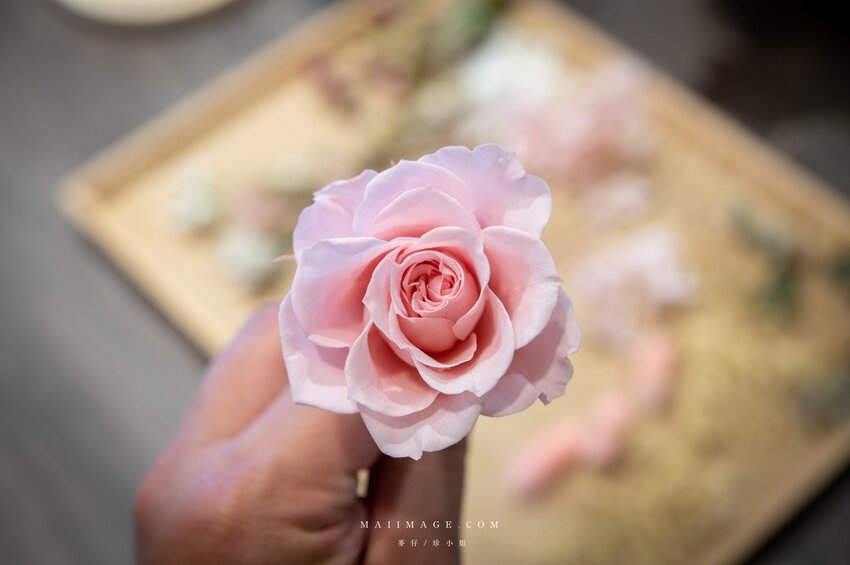 陽光灑落Shining｜Google評論破百則滿分5顆星～玻璃花盅乾燥花手作課程教學，新娘捧花客製化設計、乾燥花捧