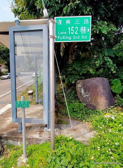 北投復興三路櫻花隧道(Cherry blossoms at Fusin 3th road, Taipei, Taiwan, SJKen, Mar 3, 2022)