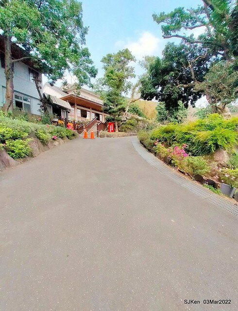 北投復興三路櫻花隧道(Cherry blossoms at Fusin 3th road, Taipei, Taiwan, SJKen, Mar 3, 2022)