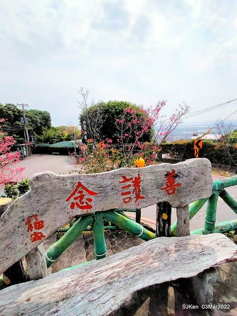 北投復興三路櫻花隧道(Cherry blossoms at Fusin 3th road, Taipei, Taiwan, SJKen, Mar 3, 2022)