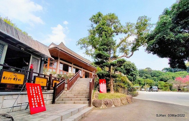 北投復興三路櫻花隧道(Cherry blossoms at Fusin 3th road, Taipei, Taiwan, SJKen, Mar 3, 2022)