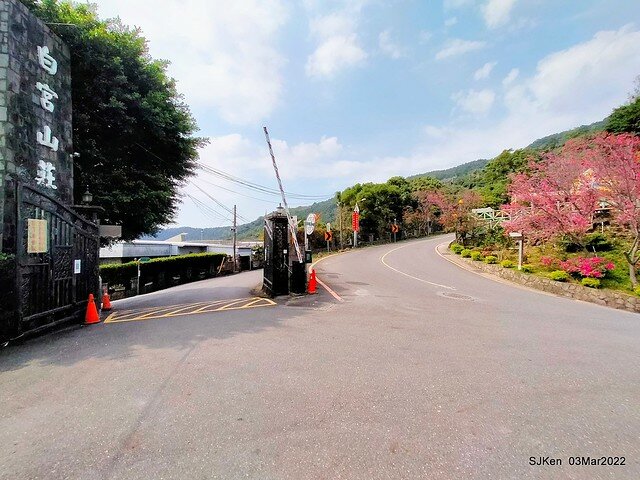 北投復興三路櫻花隧道(Cherry blossoms at Fusin 3th road, Taipei, Taiwan, SJKen, Mar 3, 2022)