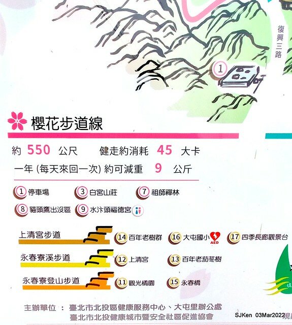 北投復興三路櫻花隧道(Cherry blossoms at Fusin 3th road, Taipei, Taiwan, SJKen, Mar 3, 2022)