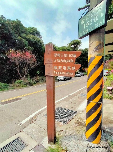 北投復興三路櫻花隧道(Cherry blossoms at Fusin 3th road, Taipei, Taiwan, SJKen, Mar 3, 2022)