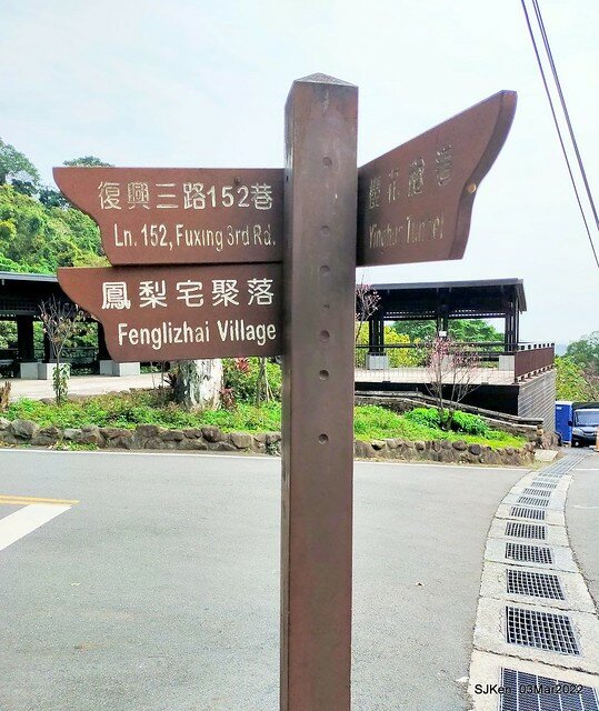 北投復興三路櫻花隧道(Cherry blossoms at Fusin 3th road, Taipei, Taiwan, SJKen, Mar 3, 2022)