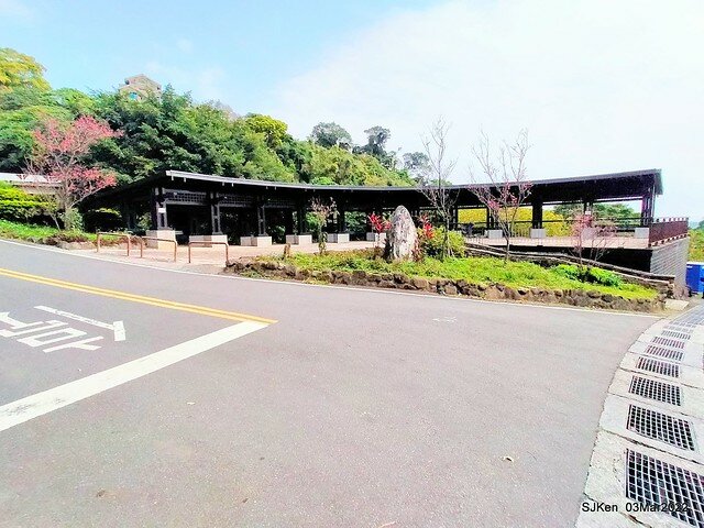 北投復興三路櫻花隧道(Cherry blossoms at Fusin 3th road, Taipei, Taiwan, SJKen, Mar 3, 2022)