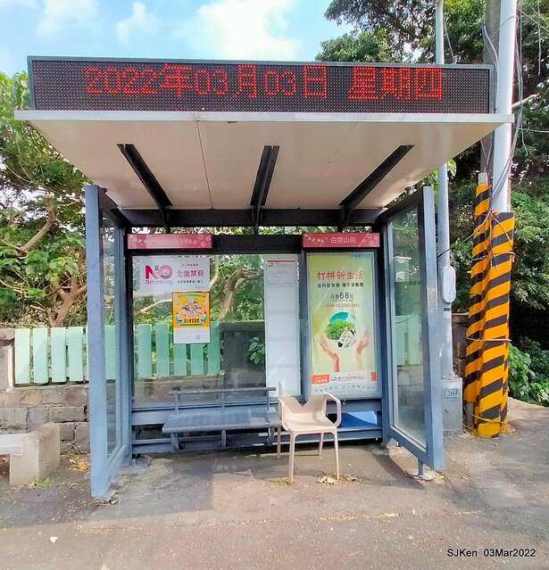 北投復興三路櫻花隧道(Cherry blossoms at Fusin 3th road, Taipei, Taiwan, SJKen, Mar 3, 2022)