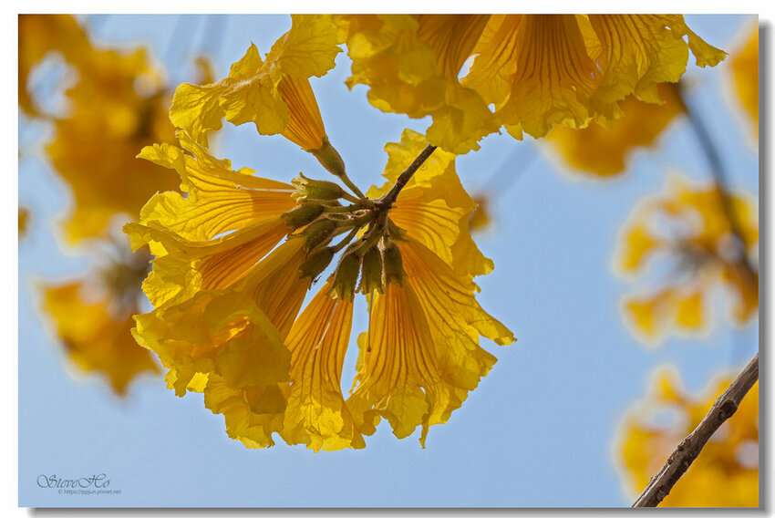 32.IMG_8435.jpg 32.IMG_8435.jpg