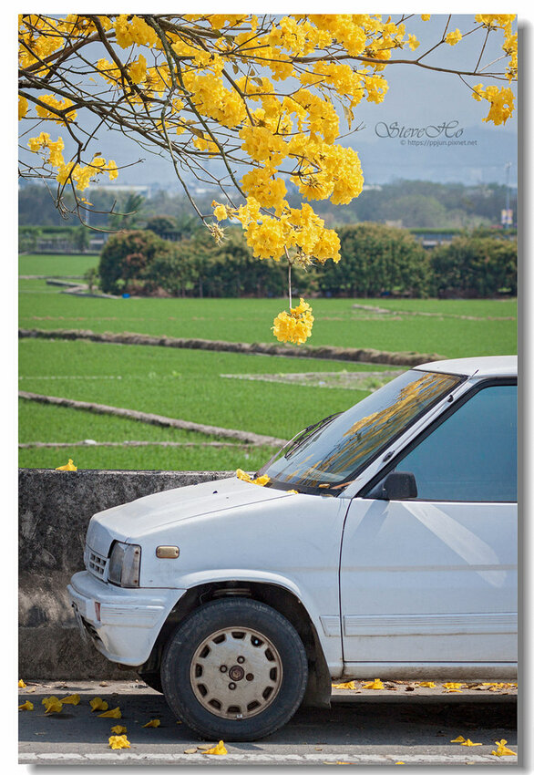 22.IMG_8464.jpg 22.IMG_8464.jpg