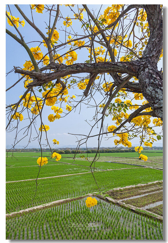 14.IMG_2790.jpg 14.IMG_2790.jpg