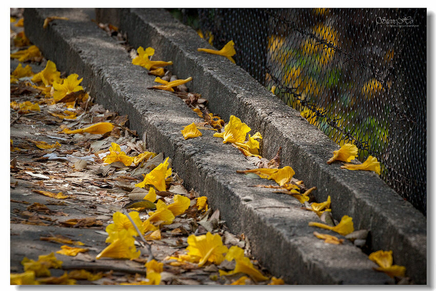 34.IMG_8444.jpg 34.IMG_8444.jpg