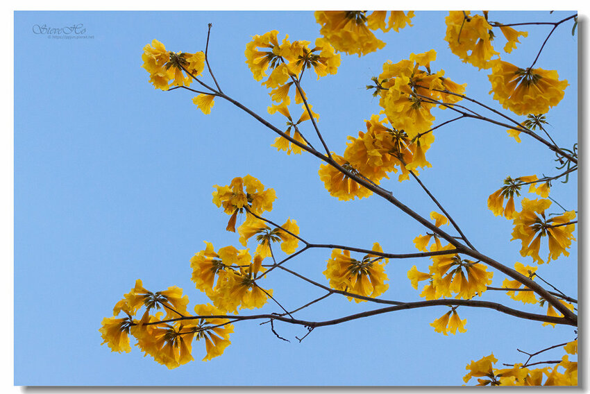 29.IMG_8381.jpg 29.IMG_8381.jpg