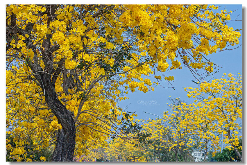 05.IMG_8462.jpg 05.IMG_8462.jpg