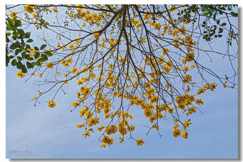 07.IMG_2736.jpg 07.IMG_2736.jpg