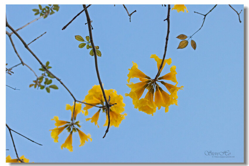 30.IMG_8397.jpg 30.IMG_8397.jpg