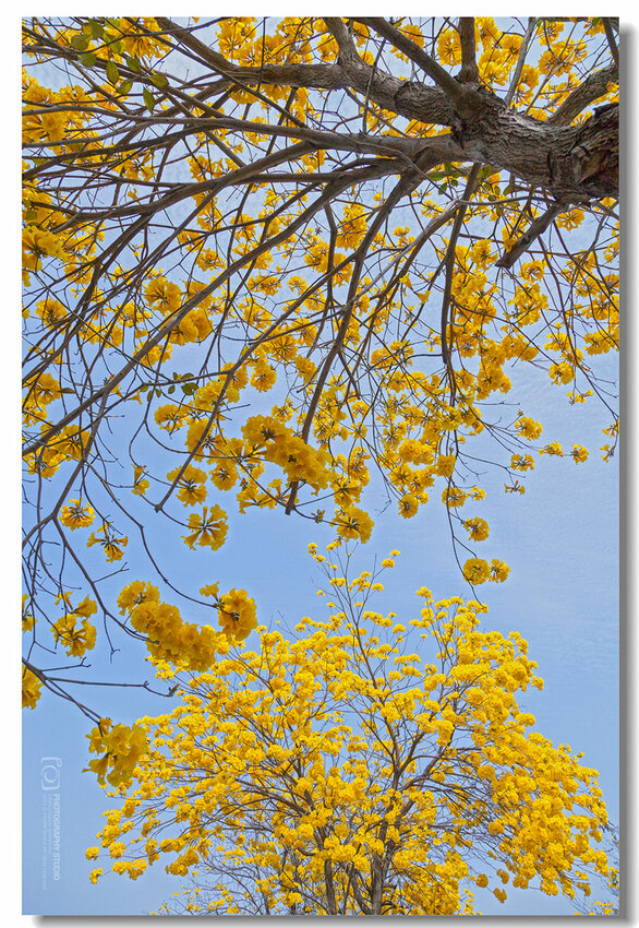 10.IMG_2745.jpg 10.IMG_2745.jpg