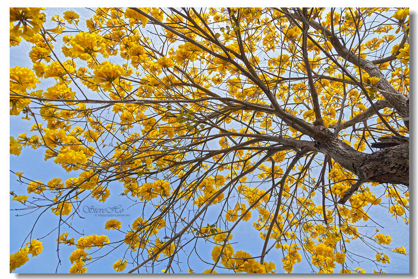 23.IMG_2746.jpg 23.IMG_2746.jpg