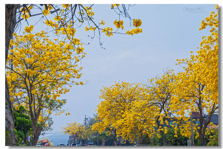 03.IMG_2733.jpg 03.IMG_2733.jpg