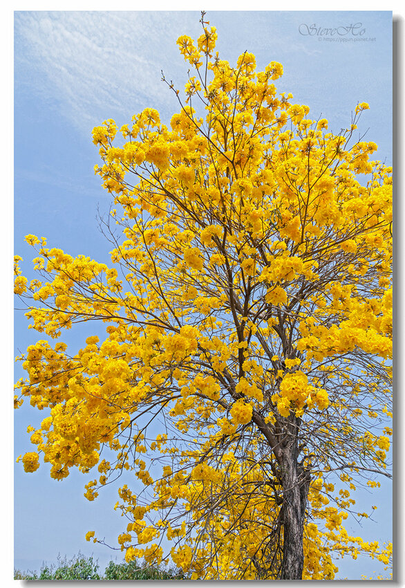 25.IMG_2761.jpg 25.IMG_2761.jpg