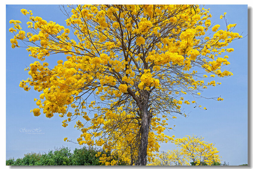 42.IMG_2763.jpg 42.IMG_2763.jpg