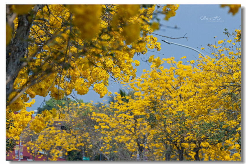 04.IMG_8454.jpg 04.IMG_8454.jpg