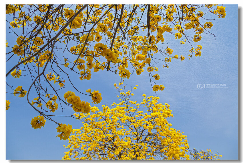 09.IMG_2744-3.jpg 09.IMG_2744-3.jpg