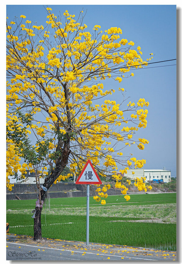 20.IMG_8489.jpg 20.IMG_8489.jpg