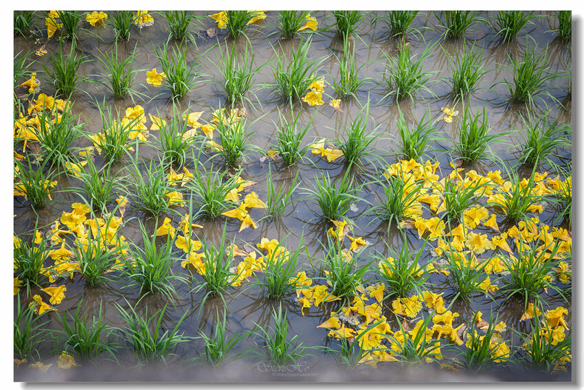 16.IMG_2793.jpg 16.IMG_2793.jpg