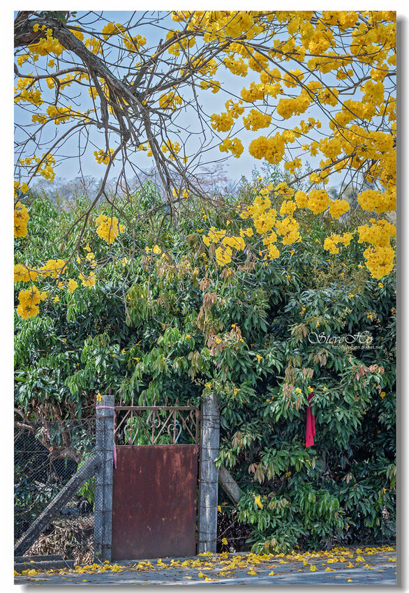 41.IMG_8507.jpg 41.IMG_8507.jpg