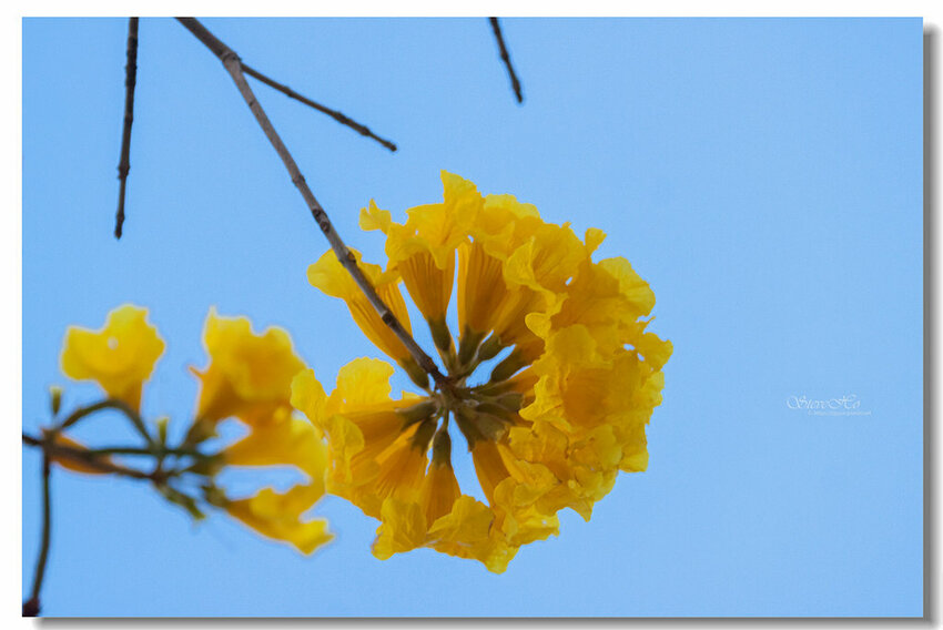 28.IMG_8376.jpg 28.IMG_8376.jpg