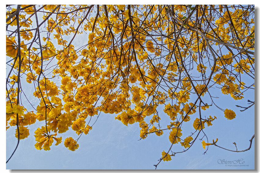 24.IMG_2757.jpg 24.IMG_2757.jpg