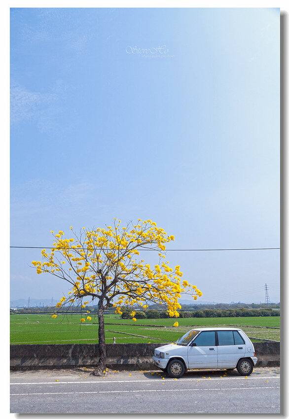 18.IMG_2773.jpg 18.IMG_2773.jpg