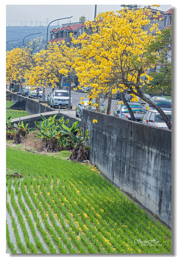 21.IMG_8498.jpg 21.IMG_8498.jpg