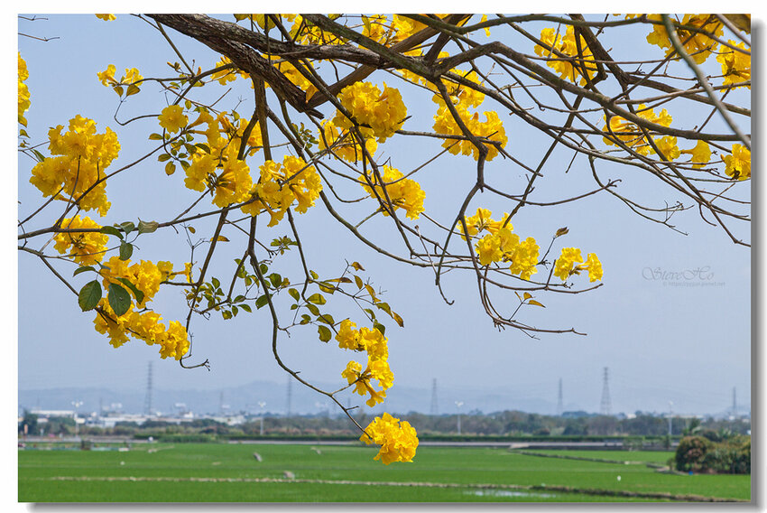 43.IMG_2788.jpg 43.IMG_2788.jpg