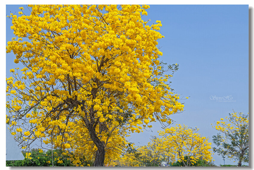 26.IMG_2768.jpg 26.IMG_2768.jpg