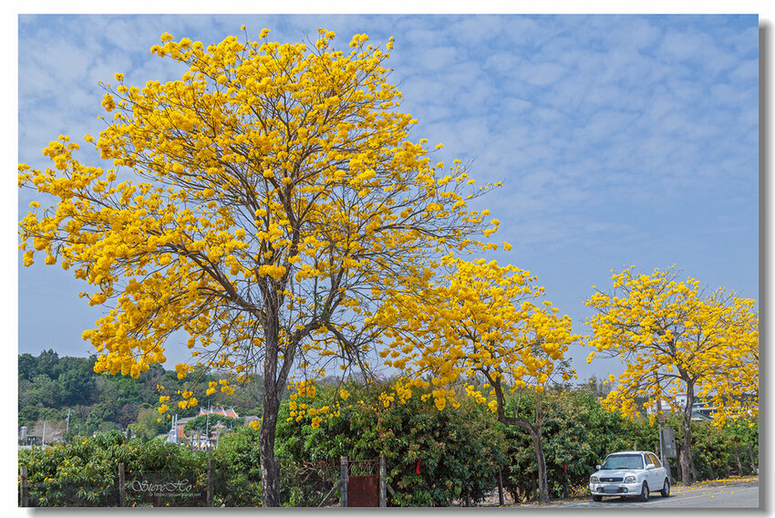 44.IMG_2803.jpg 44.IMG_2803.jpg