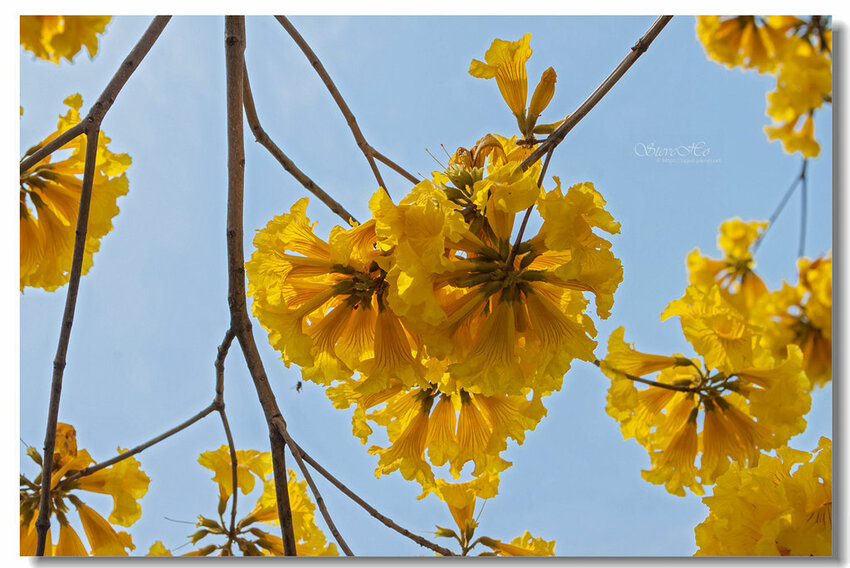 31.IMG_8430.jpg 31.IMG_8430.jpg