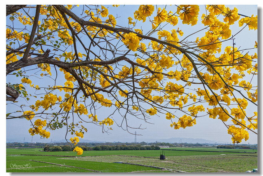 15.IMG_2789.jpg 15.IMG_2789.jpg